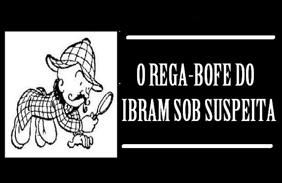 INBRAM66