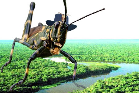 1agrilo3
