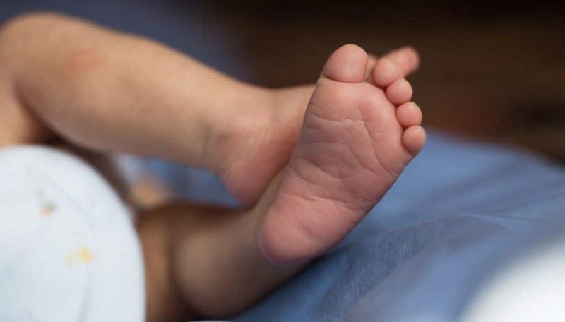 CRUELDADE! Homem é preso por chicotear um bebê de nove meses no Itapoã-RADR-DF