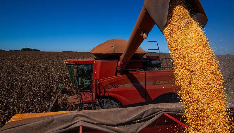 AGRICULTURA| Conab prevê produção recorde de grãos na safra 2020/21-RADAR-DF