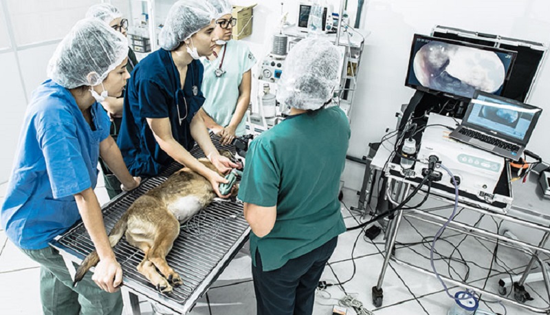 Até o dia 23 de dezembro foram realizadas 1.300 cirurgias gerais, 10.550 consultas clínicas médicas, 10.272 retornos e 13.564 exames de imagem.