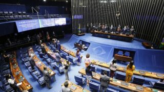 De acordo com o senador Izalci Lucas (PSDB-DF), o presidente da Casa, Davi Alcolumbre, pautará o projeto para a próxima sessão, na terça-feira (15).