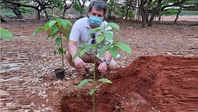 A ação do Rotary Club de Brasília, coordenado pelo presidente Saulo Branquinho, tem o objetivo de transformar o local em bosque  florido para ser apreciado pelos brasilienses