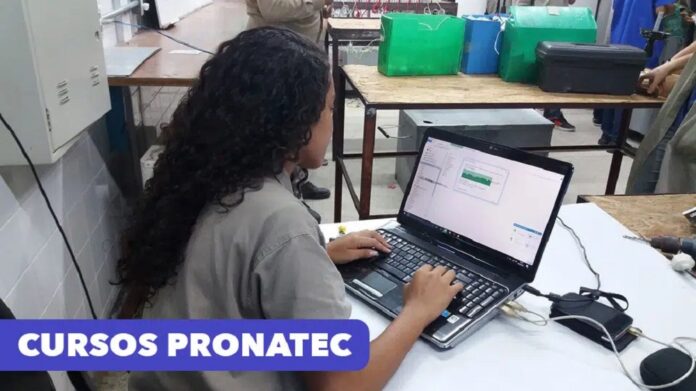 O Pronatec oferece bolsas de estudo e cursos, de forma gratuita, para jovens de adultos de baixa renda. O projeto amplia a possibilidade para instituições públicas prestadoras dos serviços de assistência técnica e extensão rural.