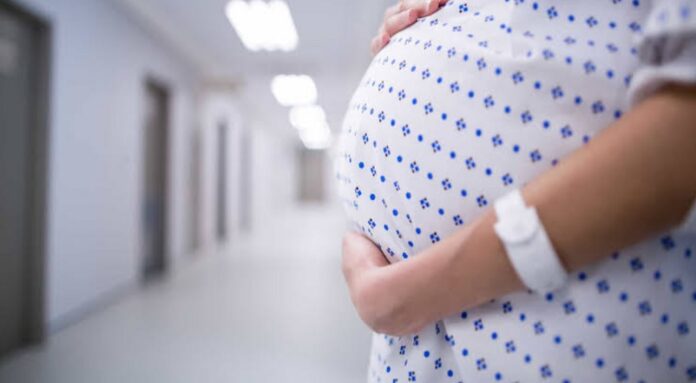 rede pública do df registra aumento de 172% nos partos humanizados