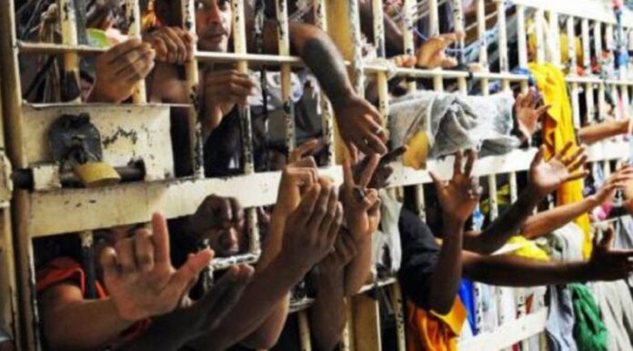 df terá nova unidade penitenciária para diminuir superlotação