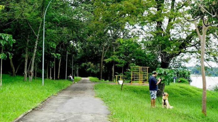 parque das garças, no lago norte, será fechado para pavimentação asfáltica