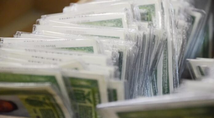 df faz mutirão para fazer documento de pessoas trans e não binárias nesta segunda (27)