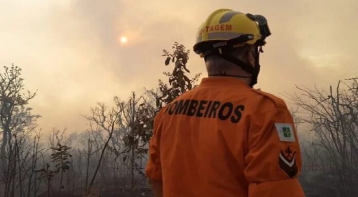 gdf decreta estado de emergência ambiental por riscos de queimadas