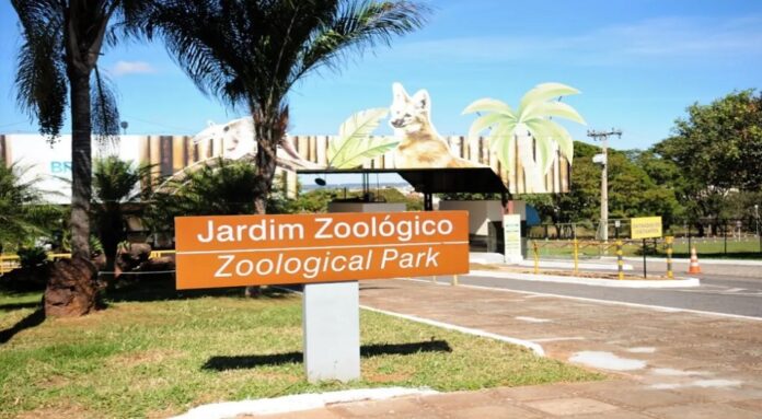 entrada é grátis no zoológico neste domingo para quem se vacinar