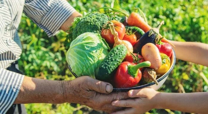 governo retomará compras de alimentos da agricultura familiar