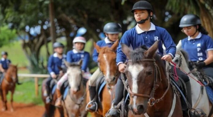 projeto da pmdf oferece aulas gratuitas de equitação para comunidade