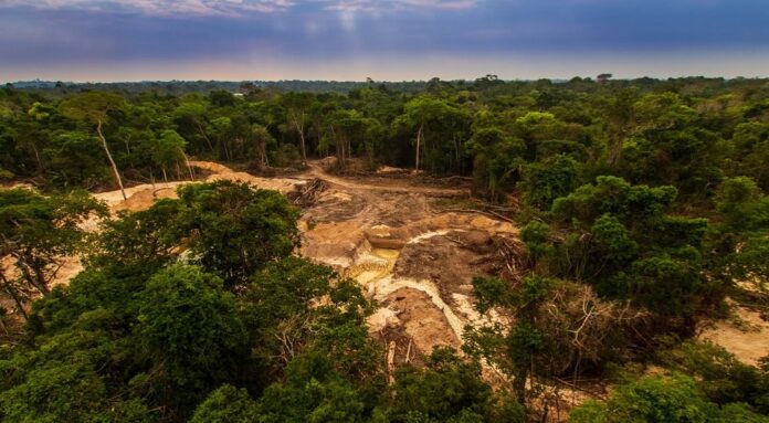 Desmatamento na Amazônia triplica e tem 2º pior trimestre desde 2008