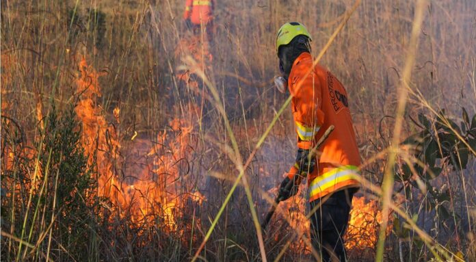Bombeiros do DF têm capacitação contínua para combater incêndios florestais