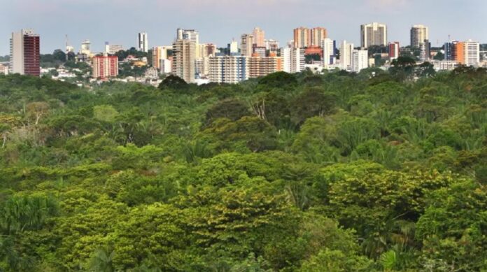 Estudos mostram benefícios das florestas para grandes cidades