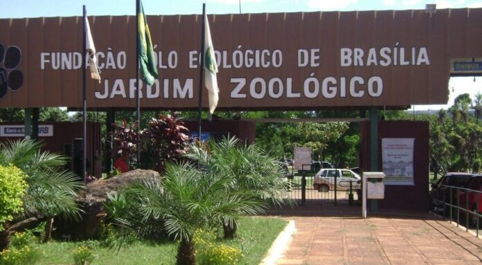 Zoo terá trilha do ‘Caminhada nos Parques’. Saiba como participar
