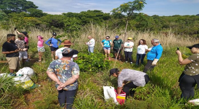 Plantio comunitário beneficia o Parque Ecológico de Santa Maria