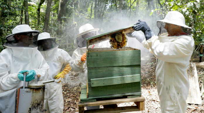 Ao longo de 578 horas de instrução intensiva, os participantes aprimoraram suas habilidades em várias áreas do setor agrícola.