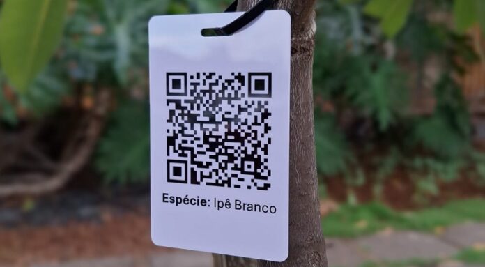Novas árvores do Parque da Cidade terão identificação por QR Code
