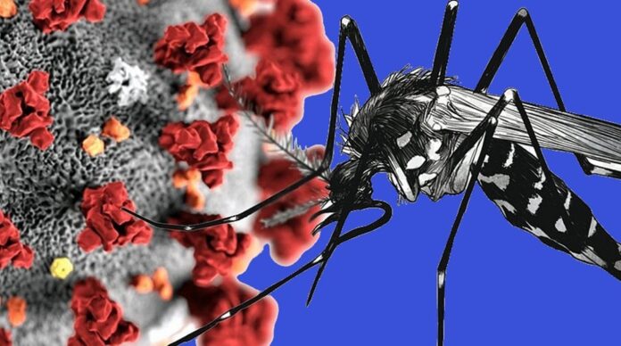 A aglomeração na maior festa popular do país, além do período chuvoso em todo o carnaval, contribuíram para maior circulação do vírus SARS-CoV-2 causador da Covid-19, bem como para a proliferação da dengue transmitida pelo mosquito Aedes Aegypti.