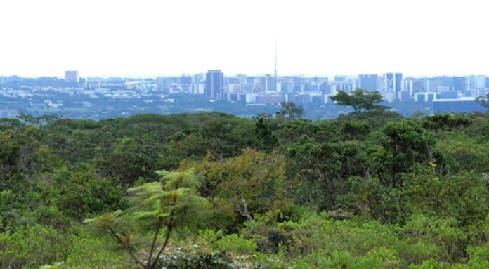 Fluxos de compensação ambiental e florestal são atualizados