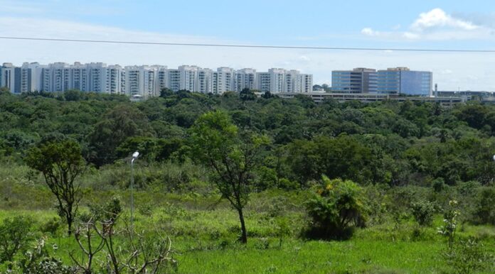 Unidade de Conservação, localizada no Guará, recebe benfeitorias nesta terça-feira (21)