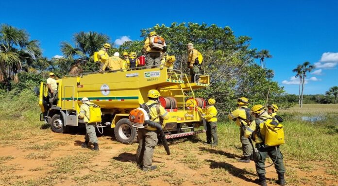 Brigadistas florestais contarão com novos equipamentos