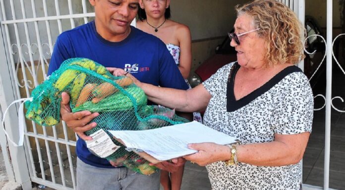 Aberta seleção para aquisição de cestas verdes da agricultura familiar do DF