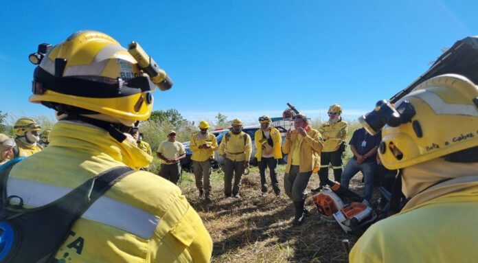 Central de Denúncias de Incêndios Florestais é criada