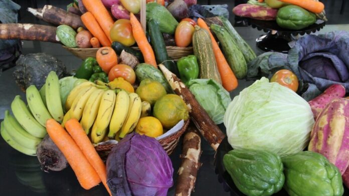 O benefício é complementar aos programas Cartão Prato Cheio e Cesta Emergencial, assegurando o acesso a alimentos com maior teor nutricional para quem mais precisa.