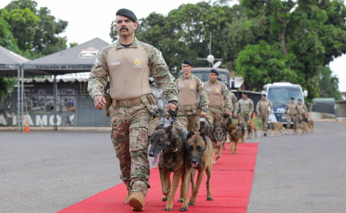 A PMDF celebrou a aposentadoria de 10 cães K9 após 8 anos de serviço. Em uma cerimônia emocionante, 8 novos cães foram apresentados ao batalhão, destacando o papel essencial dos animais em operações policiais.