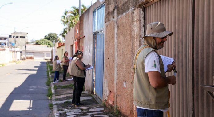 DF tem queda de 81% no número de casos de dengue frente a 2023