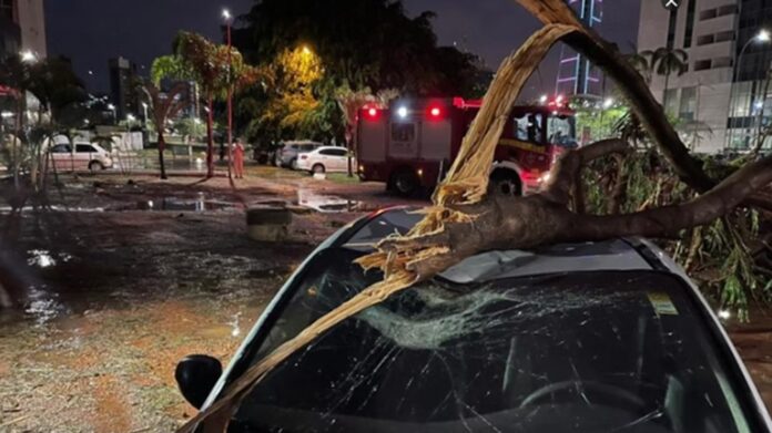 Fortes chuvas no DF causaram queda de árvores, falta de luz e caos no trânsito em cidades como Ceilândia e Plano Piloto. Ventos de até 85 km/he raios agravam os danos. Previsão alerta para mais tempestades nesta quinta-feira.