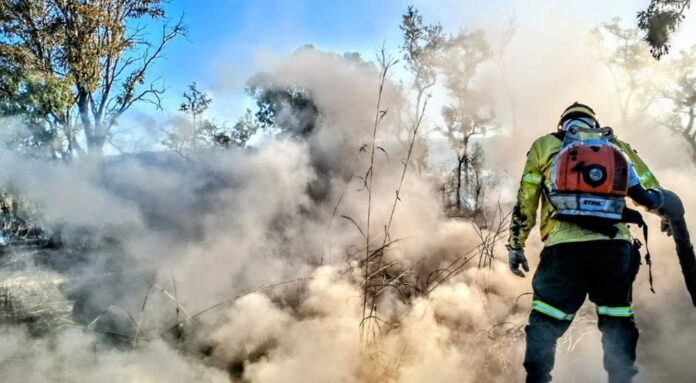 Distrito Federal declara estado de emergência ambiental para combater incêndios florestais