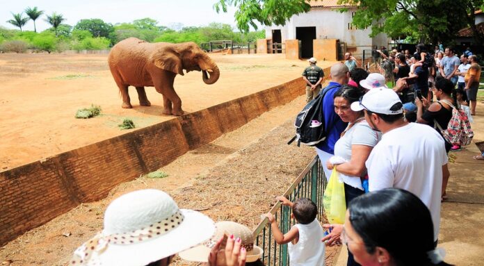 Zoológico de Brasília terá entrada gratuita para mulheres no próximo sábado (8)