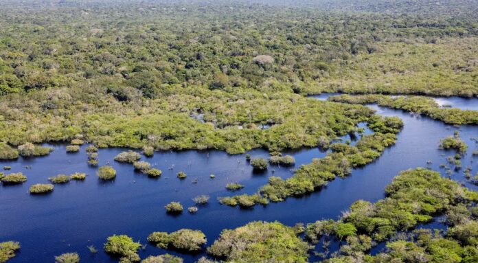 Ibama receberá 825,7 milhões para combate ao desmatamento ilegal