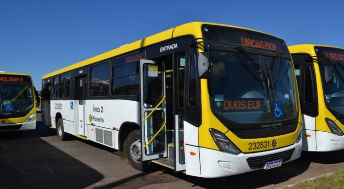 Vai de Graça terá novas linhas de ônibus e mais viagens a partir deste domingo