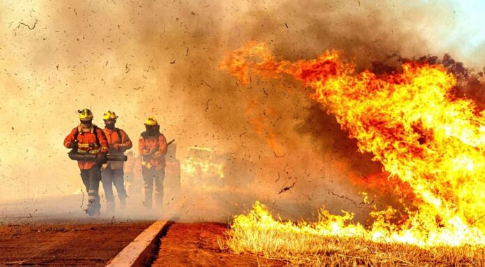 Incêndios florestais diminuem 54% no DF no primeiro semestre de 2025