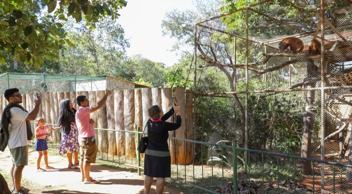 Zoológico reabre com funcionamento diário durante o mês de julho