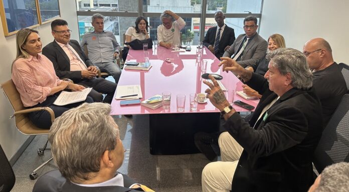 AJAB promove encontro com deputada Jaqueline Silva para pleitear emenda ao PDOT, buscando regularizar o Polo Verde e de Artesanato do Jardim Botânico, que gera mil empregos. Reunião com órgãos envolvidos ocorrerá na próxima semana.