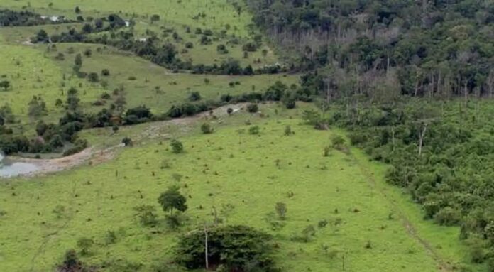 Governo prorroga prazo para georreferenciamento de imóveis rurais