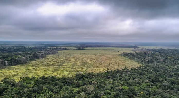 Governo defende manutenção de vetos à lei do licenciamento ambiental