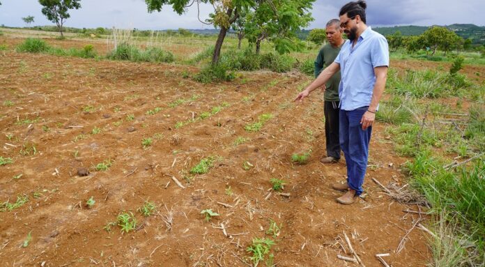 Assistência técnica no DF ajuda a aumentar o número de produtores que têm certificação orgânica