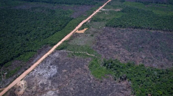 Alertas de desmatamento caem 35% na Amazônia e 6% no Cerrado