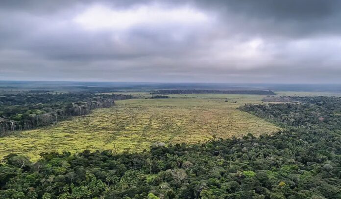 Emissões de gases caem em 2024, mas meta climática segue em risco
