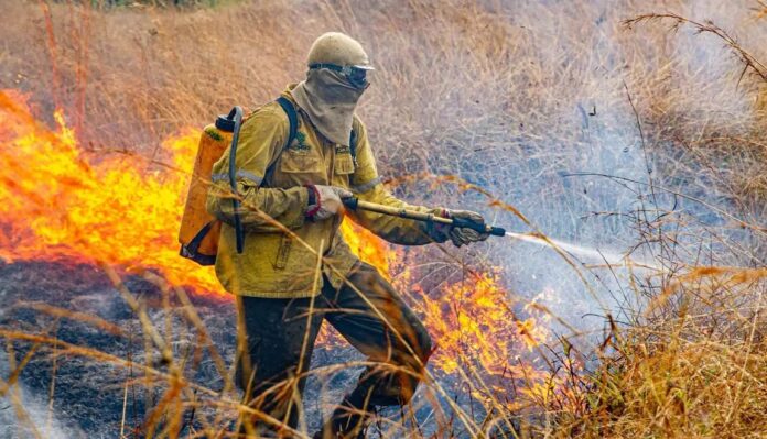 Governo divulga planejamento para enfrentar incêndios em 2026