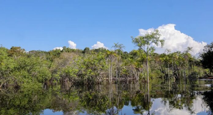 Governo levantou R$ 179 bi desde 2023 para transição ecológica