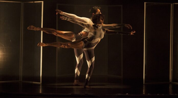 Com concepção, direção artística e coreografias de Carlos Guerreiro e Catherine Zilá, a obra é inspirada nas angústias vividas durante o período de isolamento social, vivido em 2020.