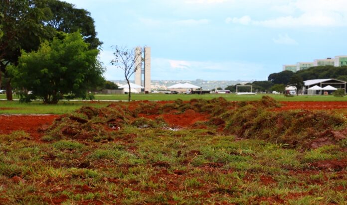 Gramado central da Esplanada dos Ministérios passa por recuperação