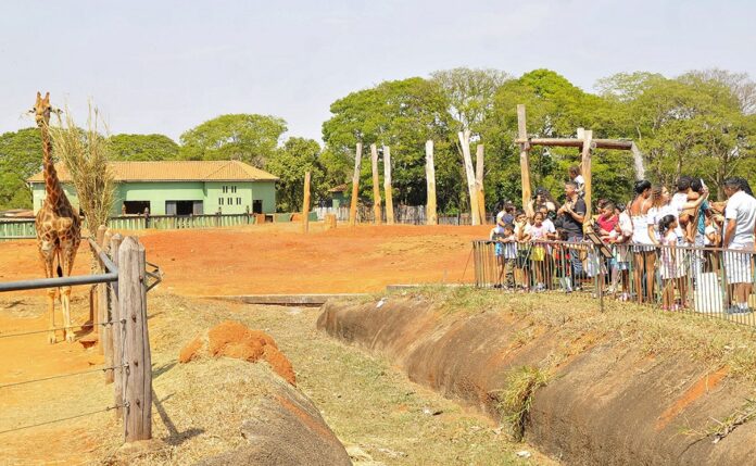 Confira o que abre e o que fecha no DF no feriado de terça (21)